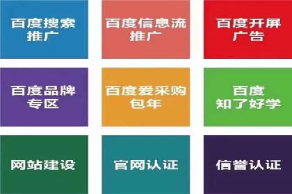竞价开户推广成功案例解析